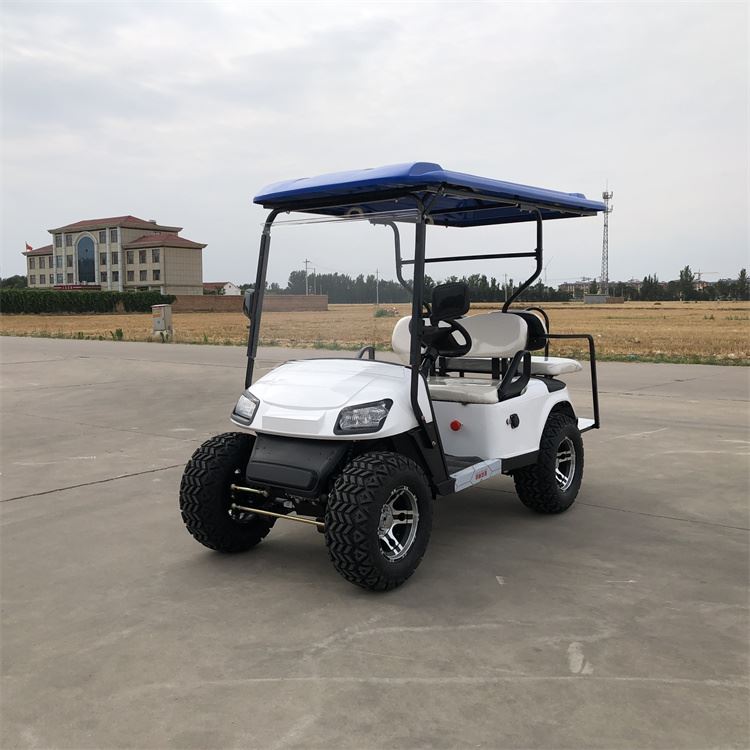 4 Passenger Electric Golf Cart
