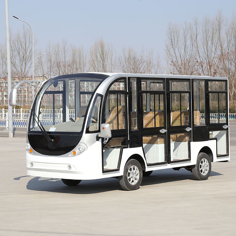 Enclosed Sightseeing Car