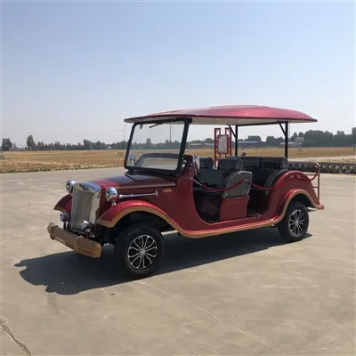 What’s The Difference Between Electric Sightseeing Cars And Electric Classic ...