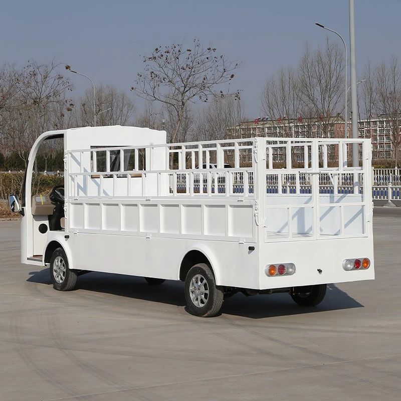 product-800-800