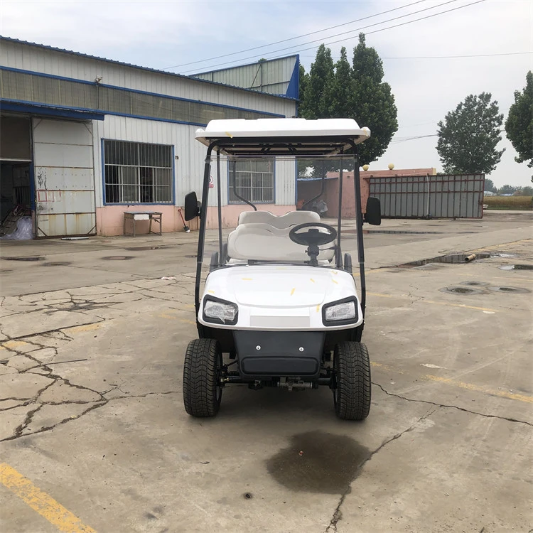 10 Seater Electric Golf Cart