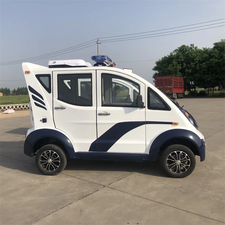Electric Enclosed Patrol Car
