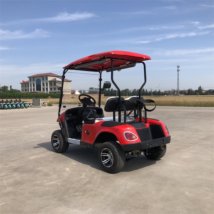2 Seat Golf Cart 2 Seat Golf Cart