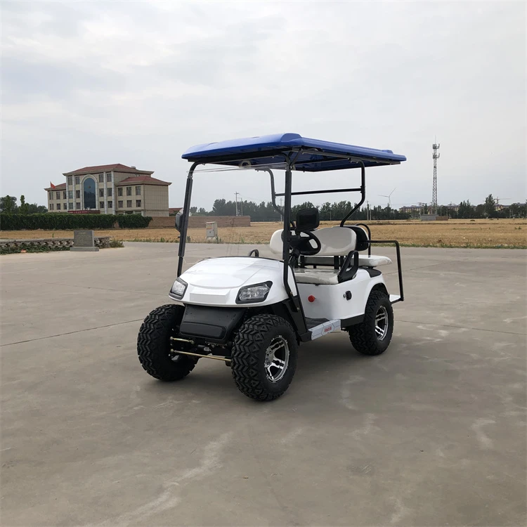 4 Passenger Electric Golf Cart