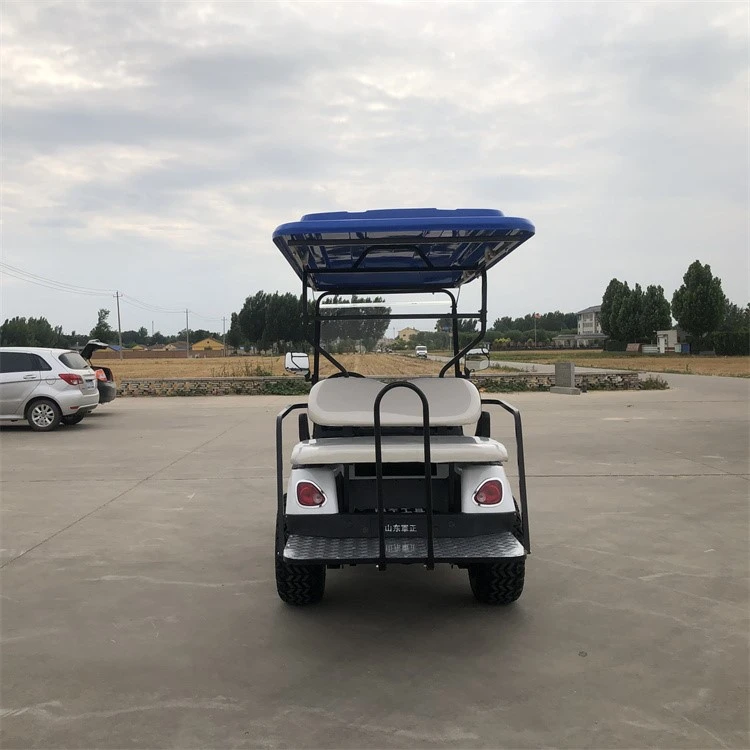 4 Passenger Electric Golf Cart