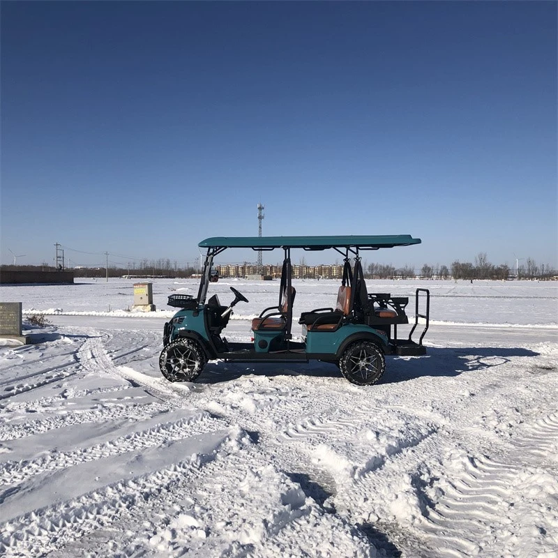 Electric Golf Cart Electric Golf Cart