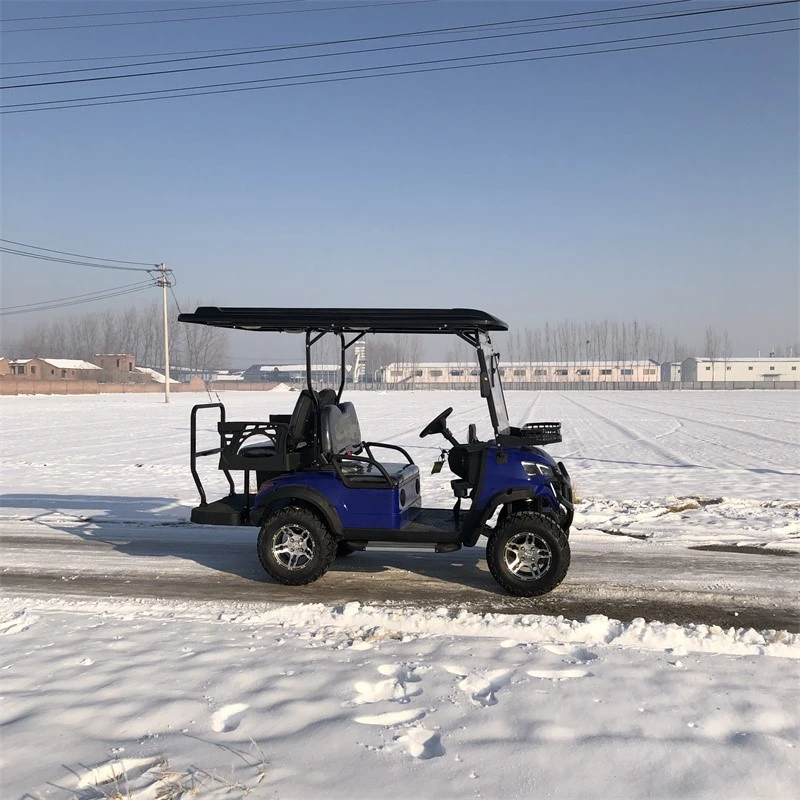 Electric Golf Cart Electric Golf Cart