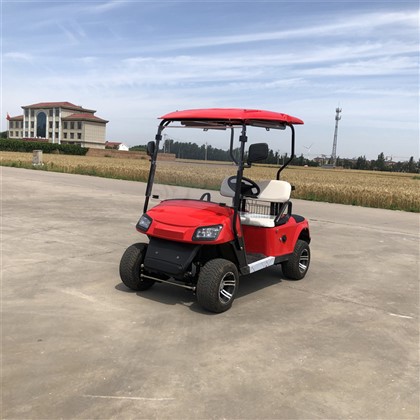 Six Seater Golf Cart